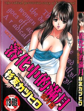 溶化中的滿月弦月篇