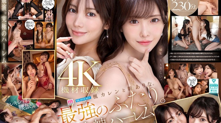 女神後宮．楓可憐／新有菜